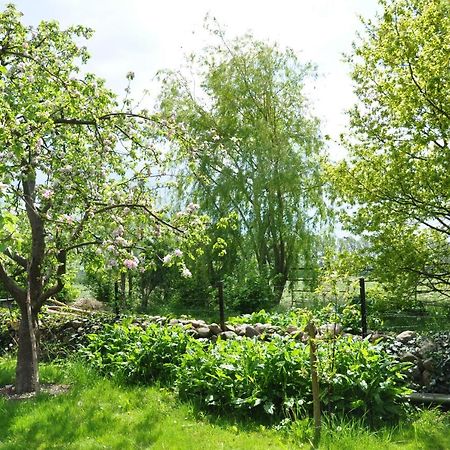 Sommerferienhaus Ostseebad Nienhagen Ngoại thất bức ảnh
