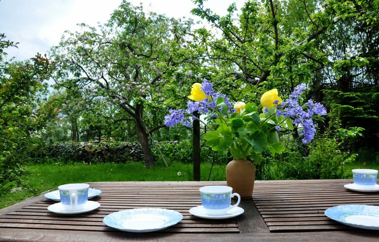 Sommerferienhaus Ostseebad Nienhagen Ngoại thất bức ảnh